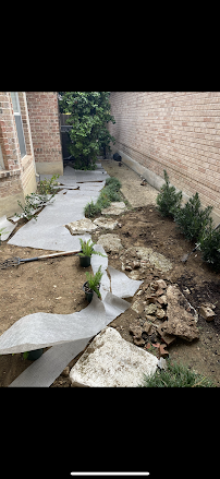 Apex Landscaping - Photo 6 - Car repair in San Antonio, TX, San Antonio
