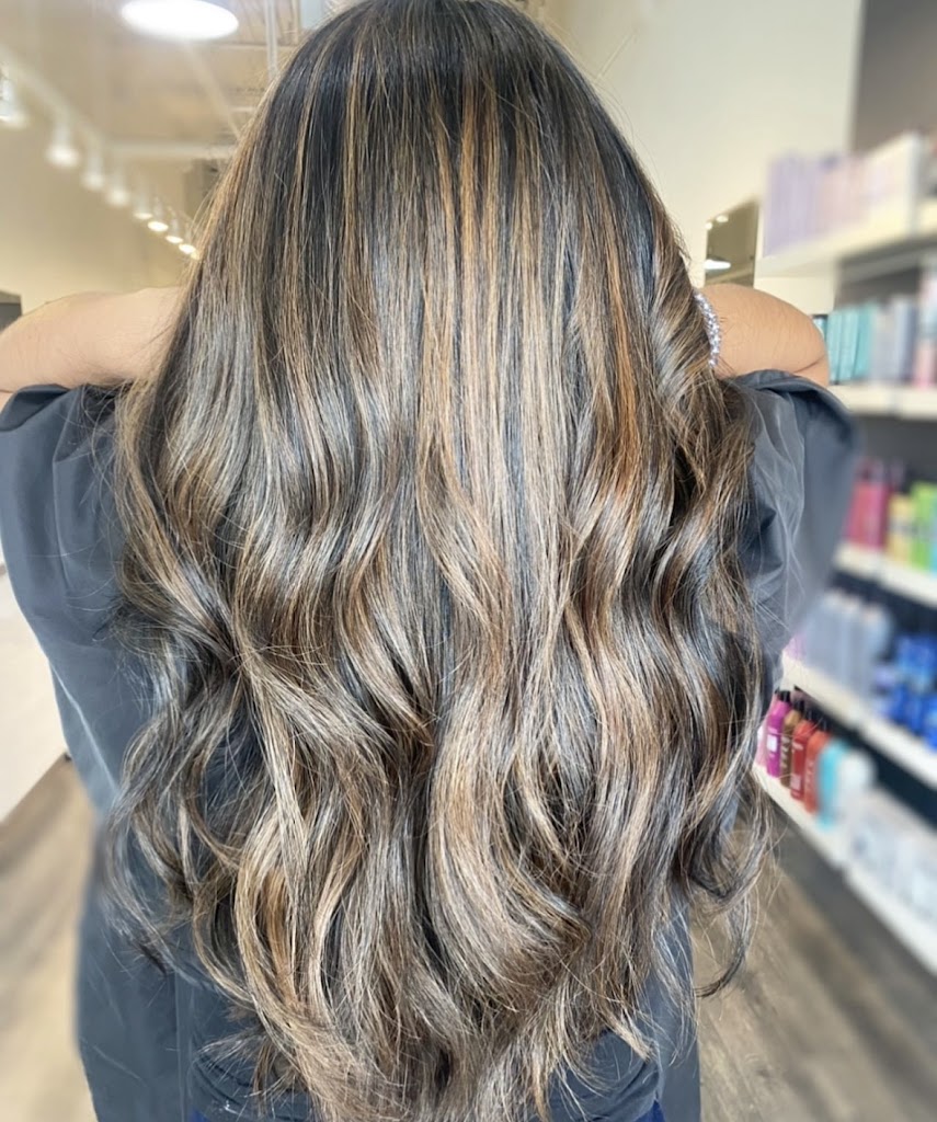 Evolution - The Salon 07702