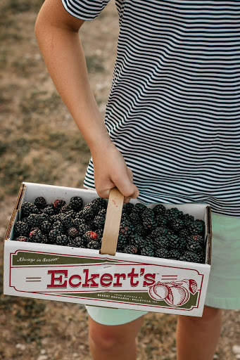 Eckert's Pick Your Own Belleville Farm