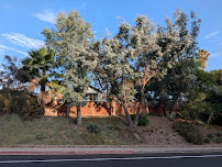 Ramirez Landscape and Tree Service - Photo 4 - Car repair in Fallbrook, CA, Oceanside
