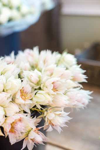 Florist «Copper Penny Flowers», reviews and photos, 9 Independence Ct, Concord, MA 01742, USA