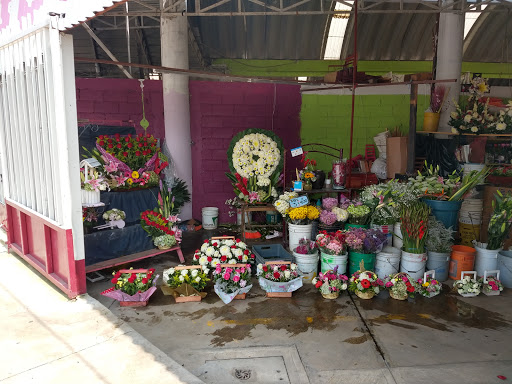 Mercado de Flores Texcoflor