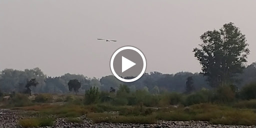 Nature Preserve «Effie Yeaw Nature Center», reviews and photos, 2850 San Lorenzo Way, Carmichael, CA 95608, USA