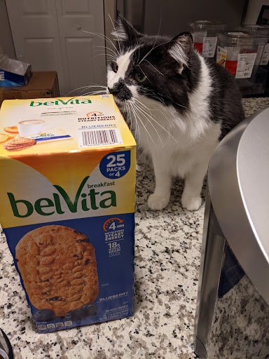 Warehouse club «BJ’s Wholesale Club», reviews and photos, 16200 SW 88th St, Miami, FL 33196, USA