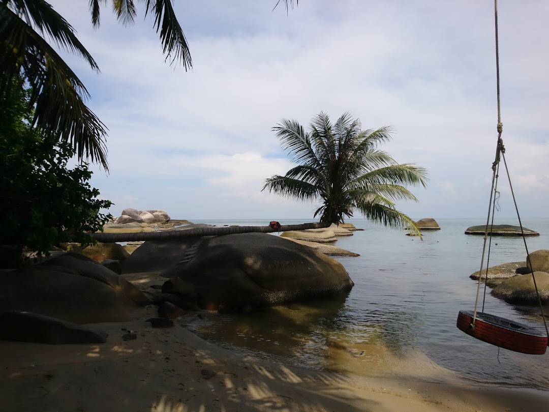 Bãi Xếp (Bãi Cây Dừa Nằm) - Resort