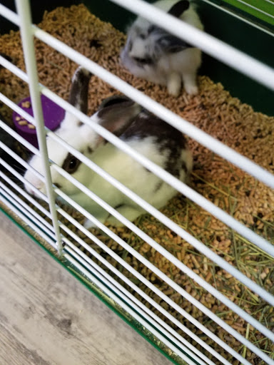 Pet Store «Ecology Pet», reviews and photos, 111 Mayo Rd, Edgewater, MD 21037, USA