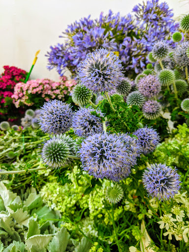 Garden Center «Repetto Florist and Nursery», reviews and photos, 12331 San Mateo Rd, Half Moon Bay, CA 94019, USA