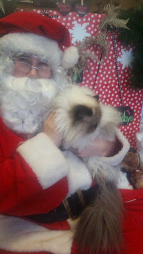 Pet Supply Store «Pet Pros Hillsboro», reviews and photos, 7290 NE Butler St, Hillsboro, OR 97124, USA