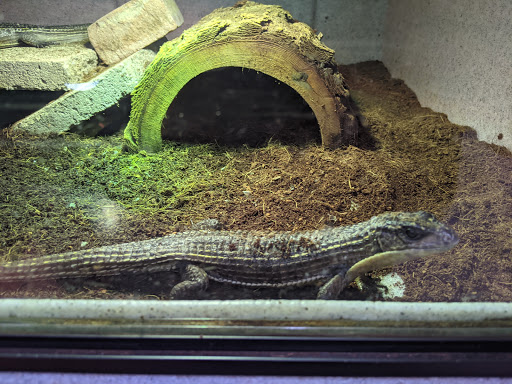 Pet Store «CUSTOM CREATURES PET SHOP», reviews and photos, 10727 N 19th Ave, Phoenix, AZ 85029, USA