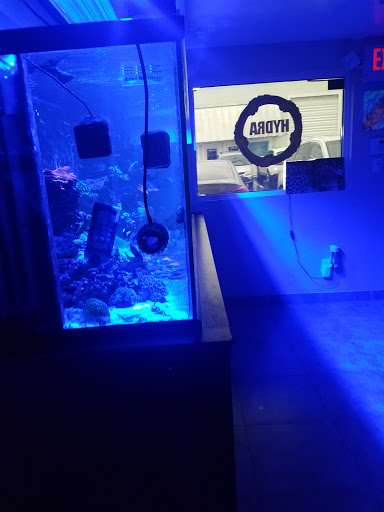 Tropical Fish Store «Hydra Aquatics International, Inc.», reviews and photos, 1300 Stirling Rd #7a, Dania Beach, FL 33004, USA