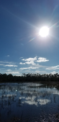 Nature Preserve «Cypress Creek Natural Area», reviews and photos, 10035 W Indiantown Rd, Jupiter, FL 33478, USA