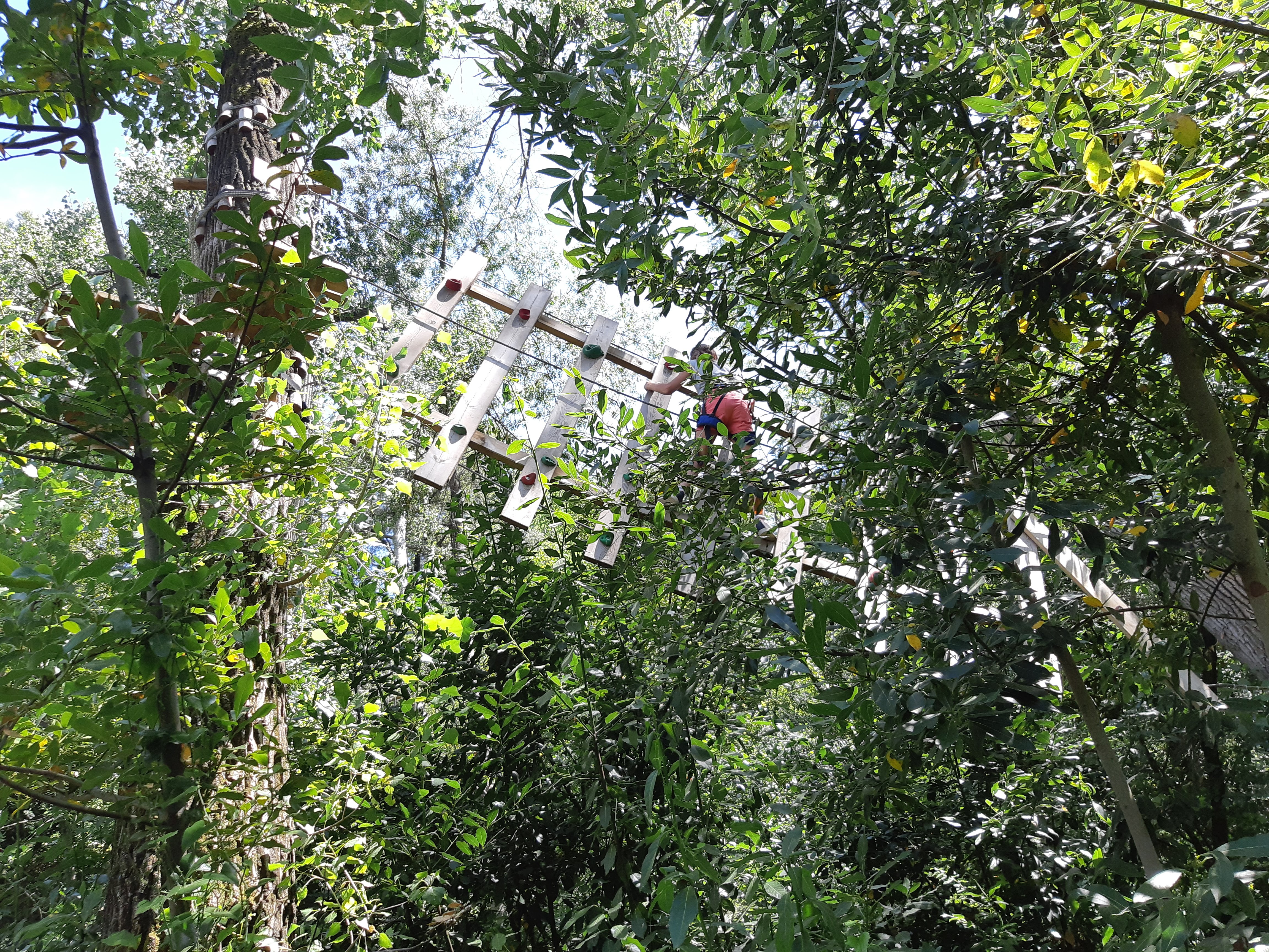 Photo n° 2 de l'avis de Stéph. fait le 13/07/2020 à 16:56