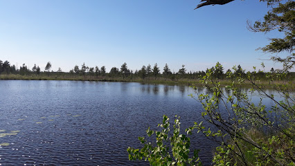Kalina järv