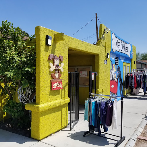 Thrift Store «Dog Junkies Thrift Store», reviews and photos, 4611 N Rancho Dr, Las Vegas, NV 89130, USA