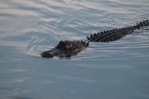 National Park «Atalaya», reviews and photos, Atalaya Rd, Murrells Inlet, SC 29576, USA