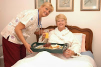 Granny NANNIES | Senior Care Spring Hill Fl - Photo 2 - Car repair in Spring Hill, FL, Spring Hill