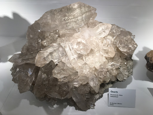 Natural History Museum «Harvard Museum of Natural History», reviews and photos, 26 Oxford St, Cambridge, MA 02138, USA