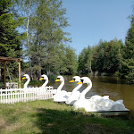 Photo n° 2 de l'avis de Geraldine.O fait le 31/05/2023 à 05:31 pour La Marina à Saint-Dizier