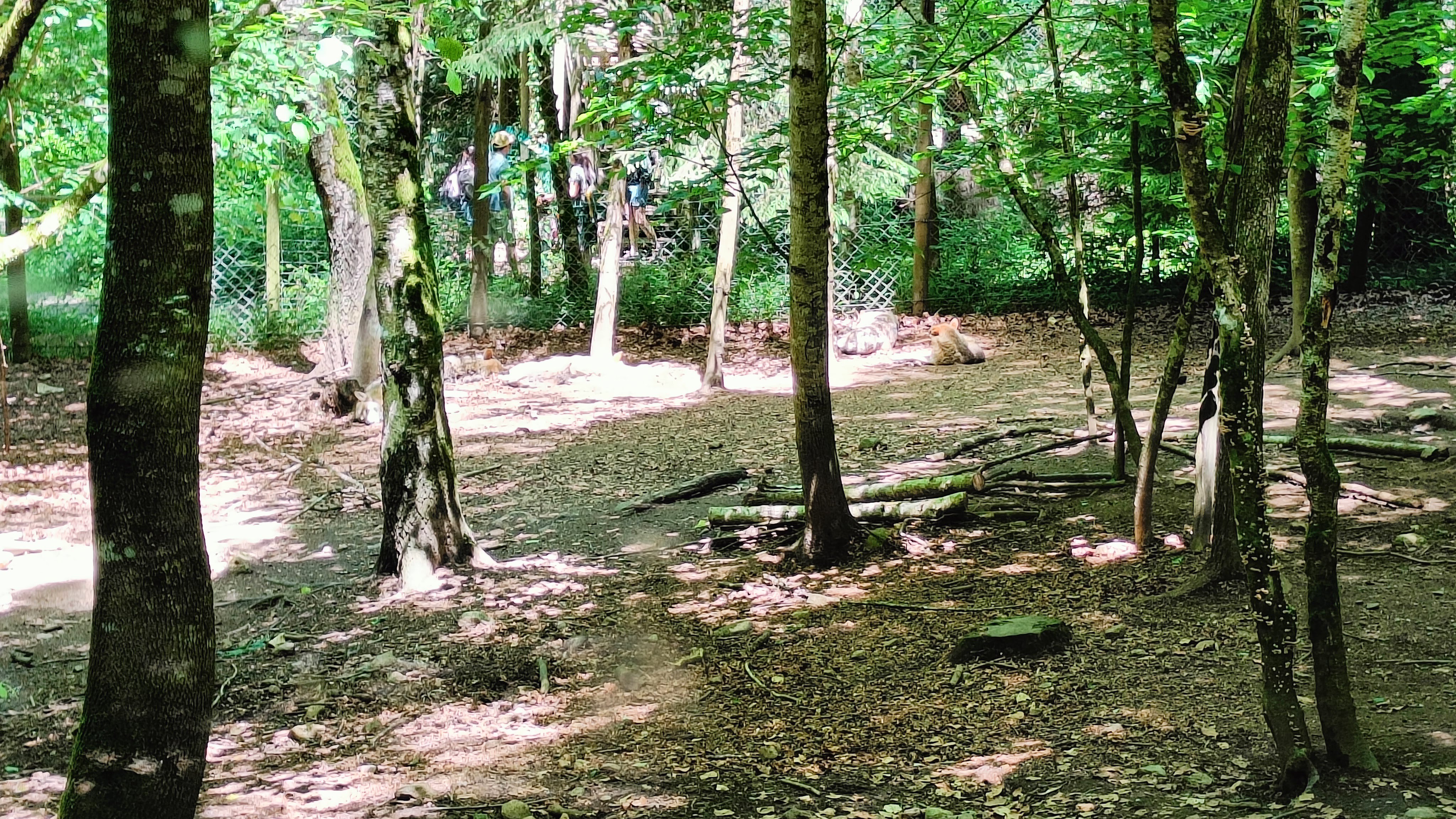 Photo n° 1 de l'avis de Nadège.N fait le 31/05/2022 à 18:17