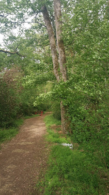 Bois de la Guignardière à Chambray-lès-Tours