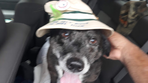 Pet Supply Store «Pet Supplies Plus», reviews and photos, 1510 Scranton Carbondale Hwy, Scranton, PA 18508, USA