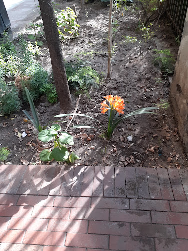 Horarios de Anasac Jardin Santiago-Centro