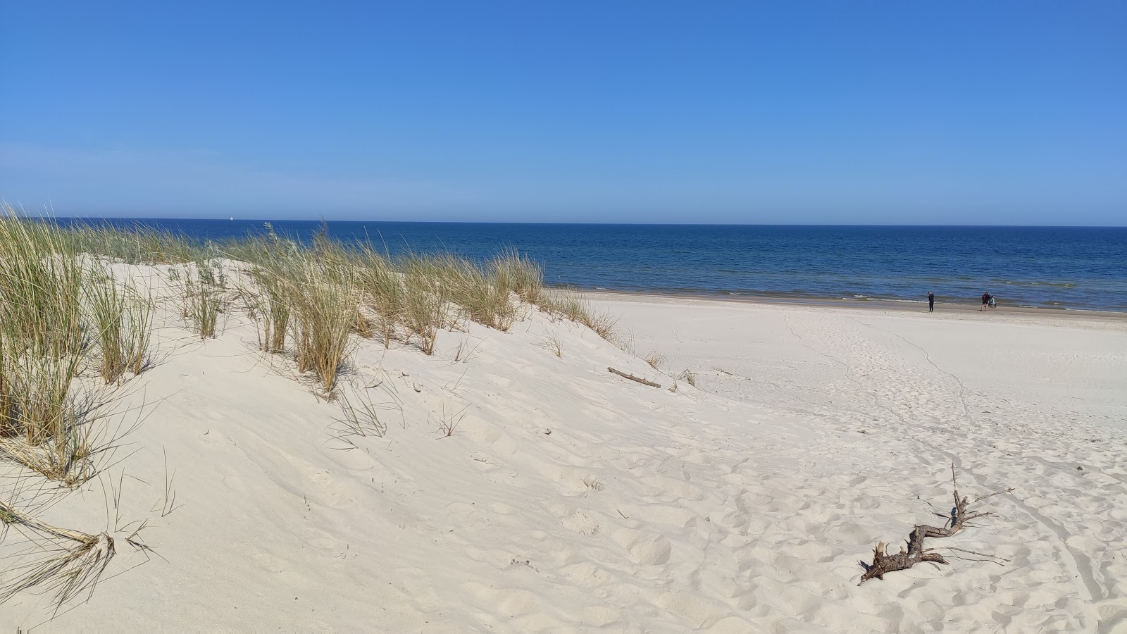 Mierzeja Sarbska beach'in fotoğrafı düz ve uzun ile birlikte