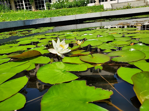 Art Museum «George Eastman Museum», reviews and photos, 900 East Ave, Rochester, NY 14607, USA