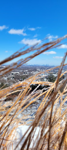Park «Prospect Hill Park», reviews and photos, 314 Totten Pond Rd, Waltham, MA 02451, USA