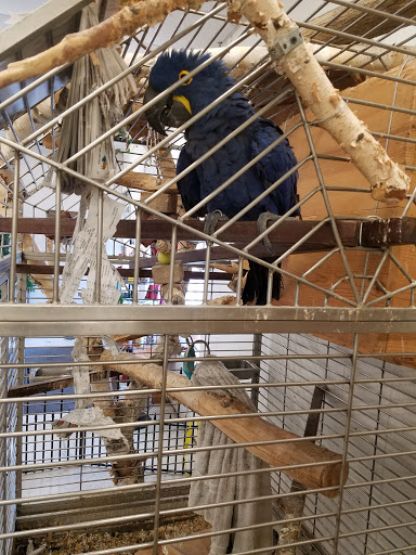 Pet Store «Critter Mart & More», reviews and photos, 3 10th St NW, Watertown, SD 57201, USA