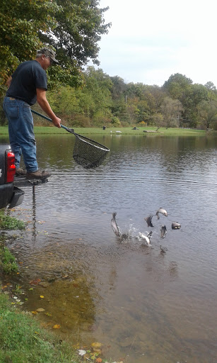 Fishing Store «Indian Creek Fishing & Fire Arms», reviews and photos, 3479 Mango Dr, Danielsville, PA 18038, USA