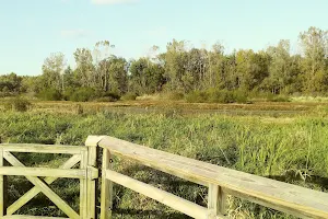 Blackfork Wetlands image