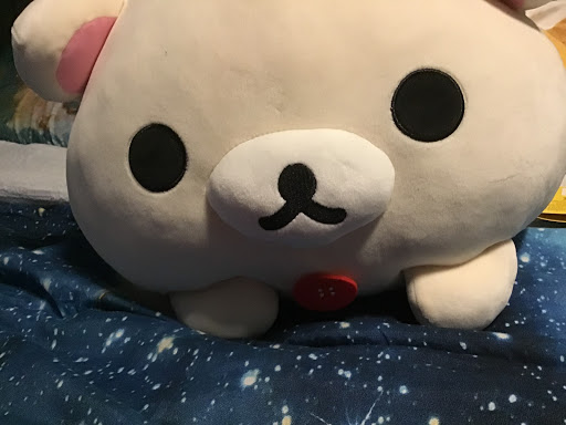 Gift Shop «Kawaii Gifts», reviews and photos, 5413 Walnut St, Pittsburgh, PA 15232, USA