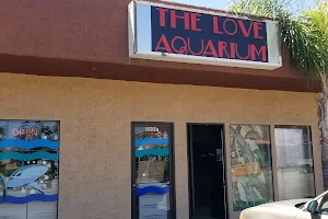The Love Aquarium image