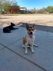 Photo 2 de North Sixth Avenue Dog Park from Dog