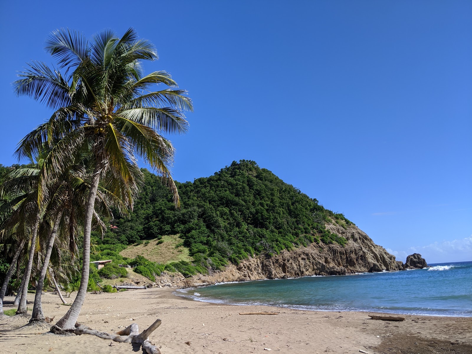 Plage de l'anse figuier photo #8