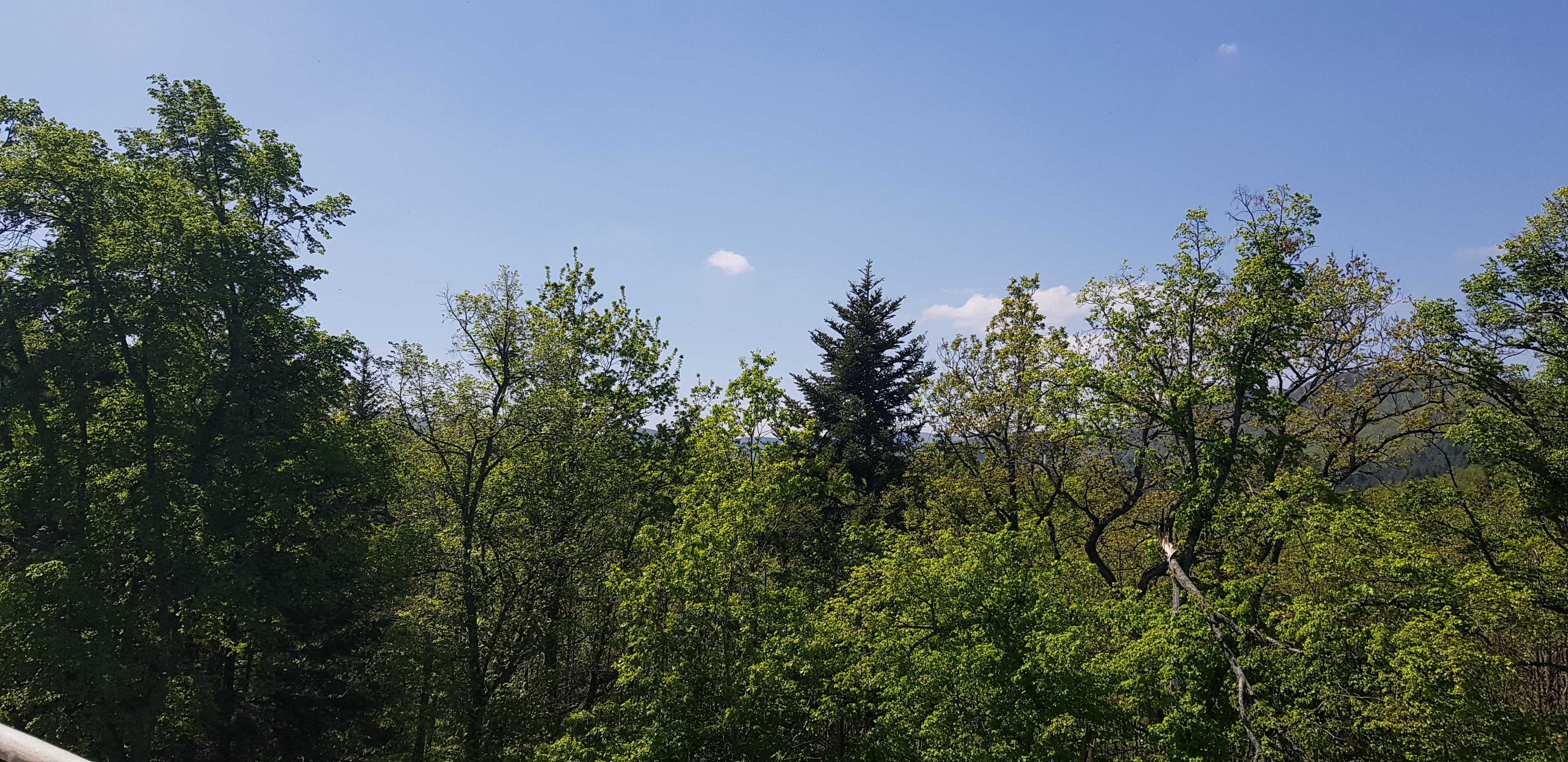 Photo n° 16 de l'avis de Celine.V fait le 02/05/2019 à 07:29