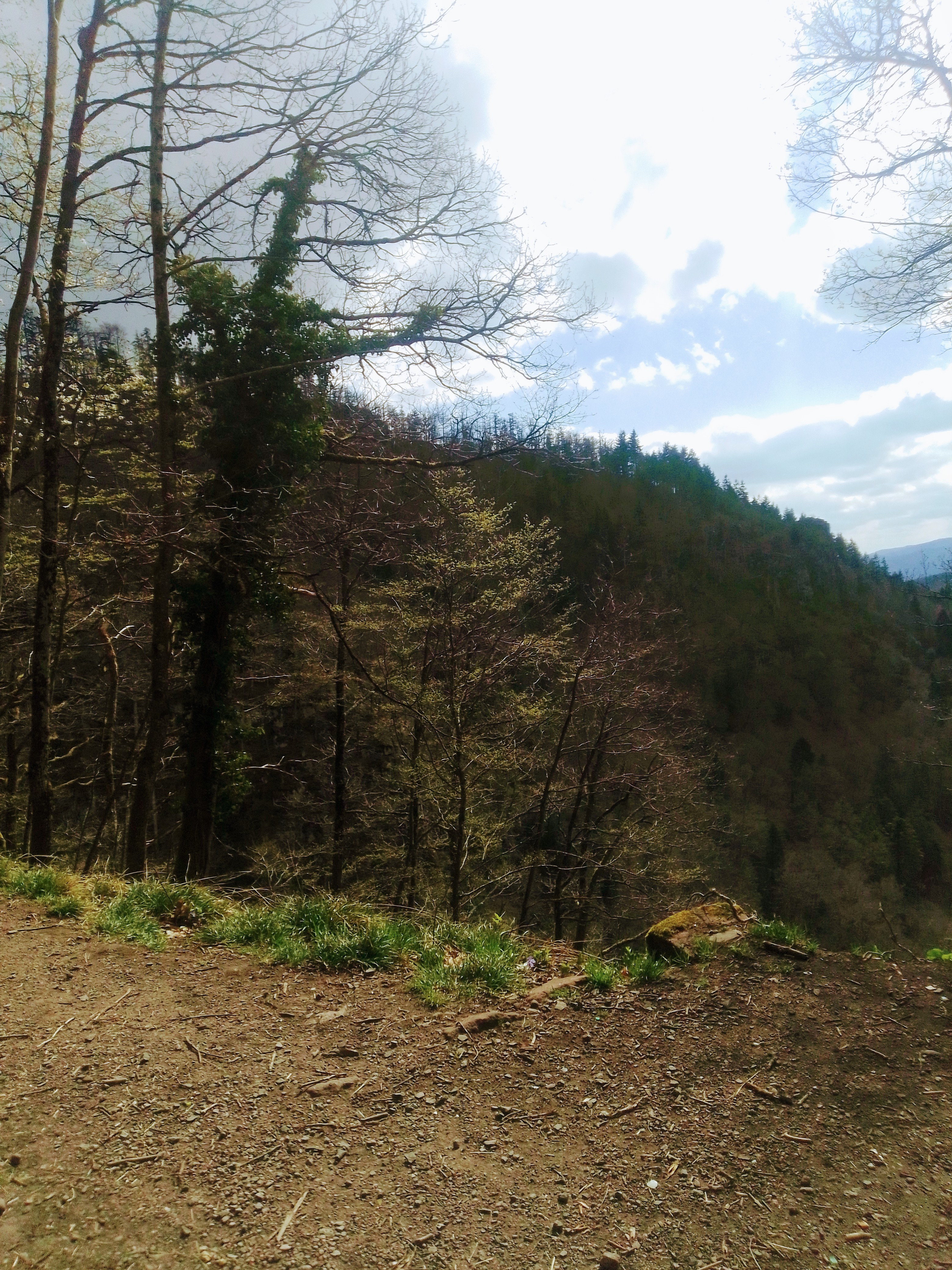 Photo n° 5 de l'avis de Adline. fait le 05/08/2020 à 16:36