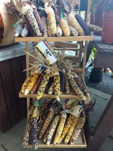 Supermarket «Big Y», reviews and photos, 700 S Main St #2, Great Barrington, MA 01230, USA