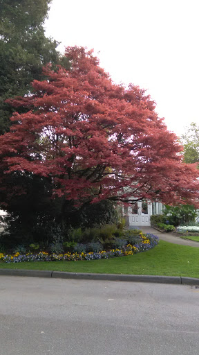 Park «Volunteer Park», reviews and photos, 1247 15th Ave E, Seattle, WA 98112, USA
