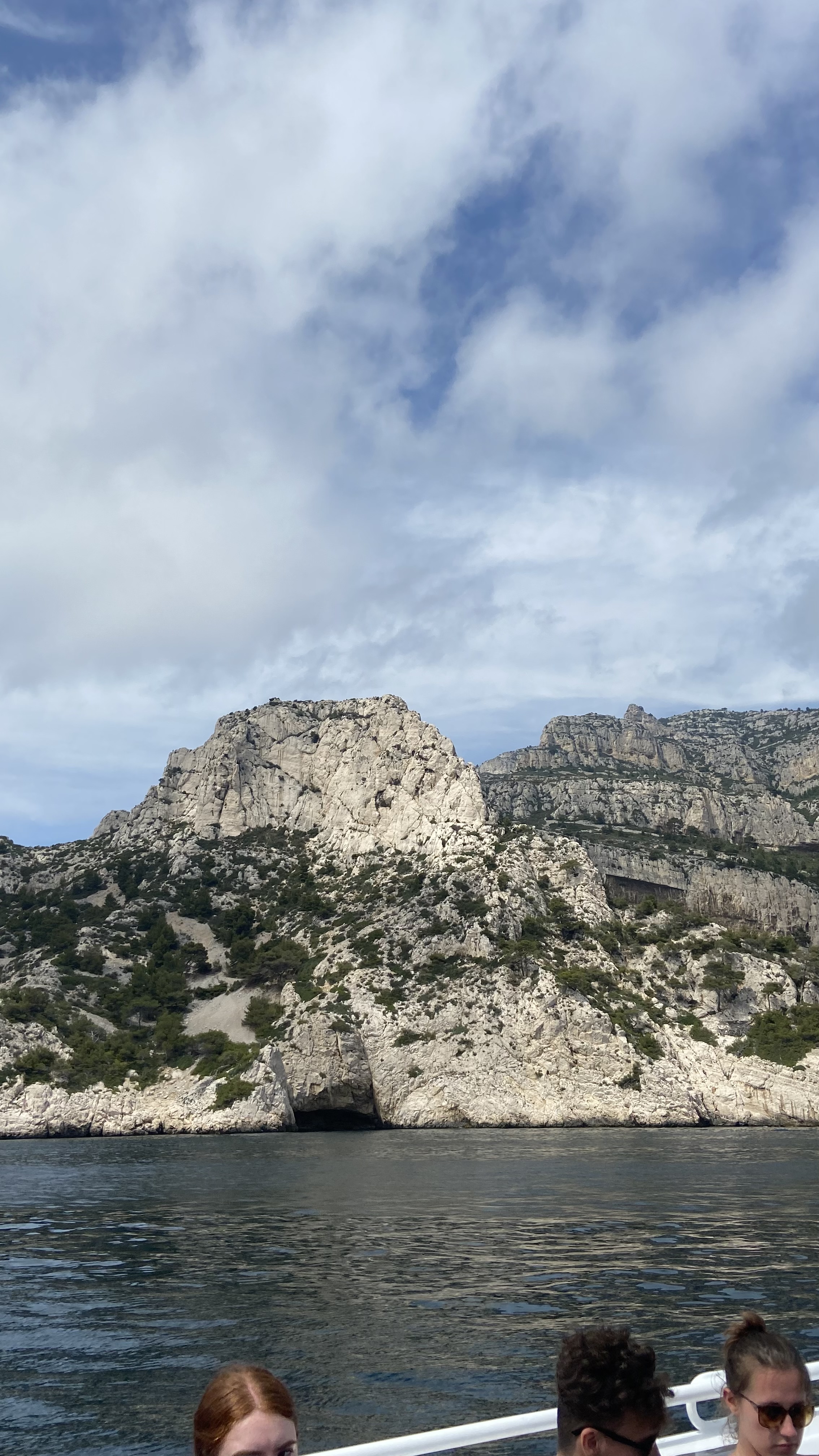 Photo n° 1 de l'avis de Camélia. fait le 11/06/2023 à 21:37