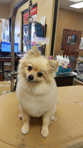 Pet Supply Store «PetSmart», reviews and photos, 860 Cobb Pl Blvd NW, Kennesaw, GA 30144, USA