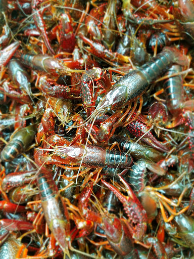 Supermarket «SF Supermarket», reviews and photos, 4562 Mack Rd, Sacramento, CA 95823, USA