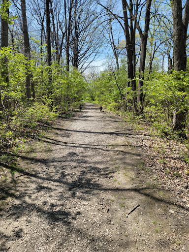 Window Tint Naperville, IL