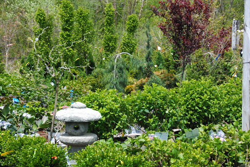 Florist «Nunan Florist & Greenhouses», reviews and photos, 269 Central St, Georgetown, MA 01833, USA