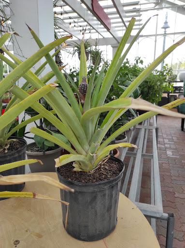 Hardware Store «La Grange Pk Ace Hardware Inc», reviews and photos, 900 E 31st St, La Grange Park, IL 60526, USA