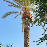 Photo n°2 de l'avis de Oliver.a fait le 25/08/2019 à 22:50 sur le  Trattoria Bar Manu' à Orosei