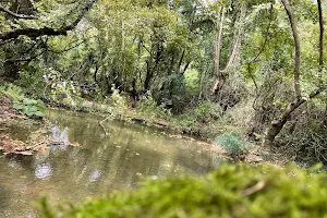 Bıçkı Creek image