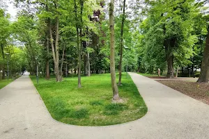 Park Olesno image
