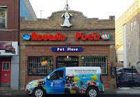 Acuario Piscis - Photo 2 - Car repair in Chicago, IL, Chicago